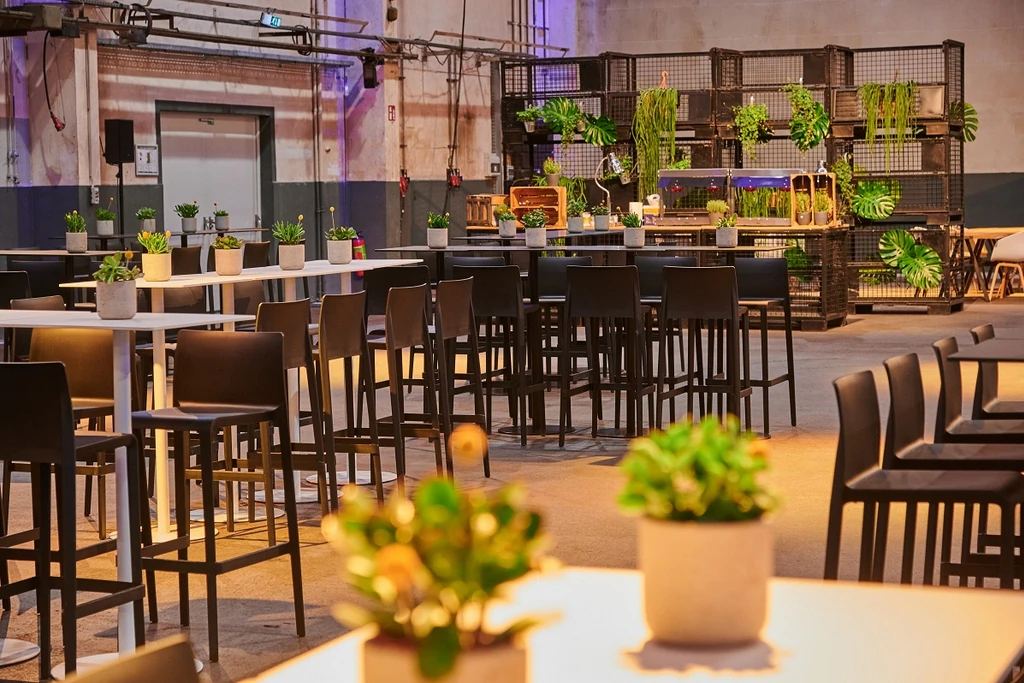 Hoker Volt 678 czarny