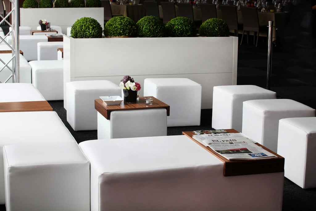 Lounge-bar zebrano W73×D35×H8 cm